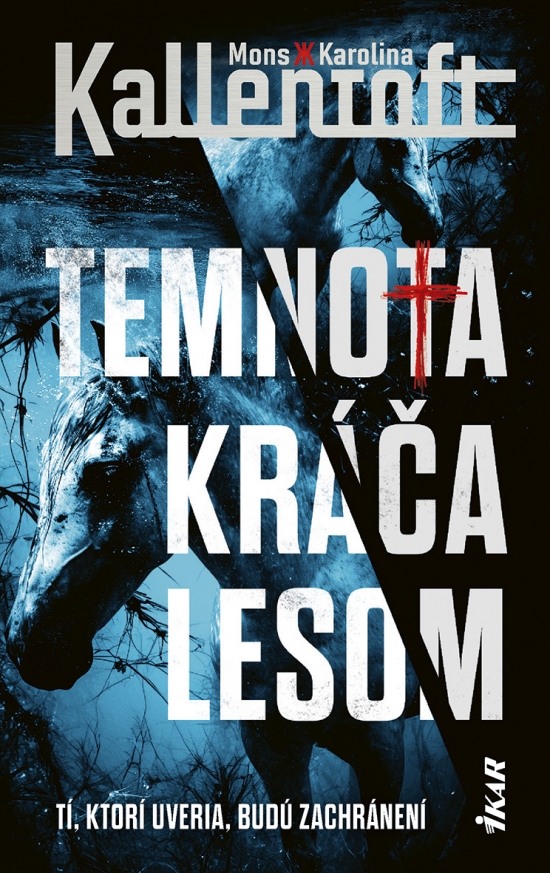 Obrazok Temnota kráča lesom