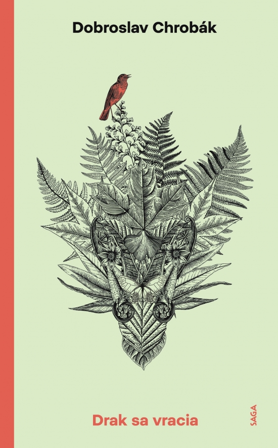 Obrázok Drak sa vracia