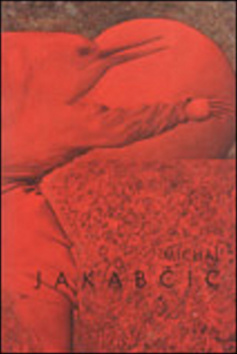 Obrázok Michal Jakabčic
