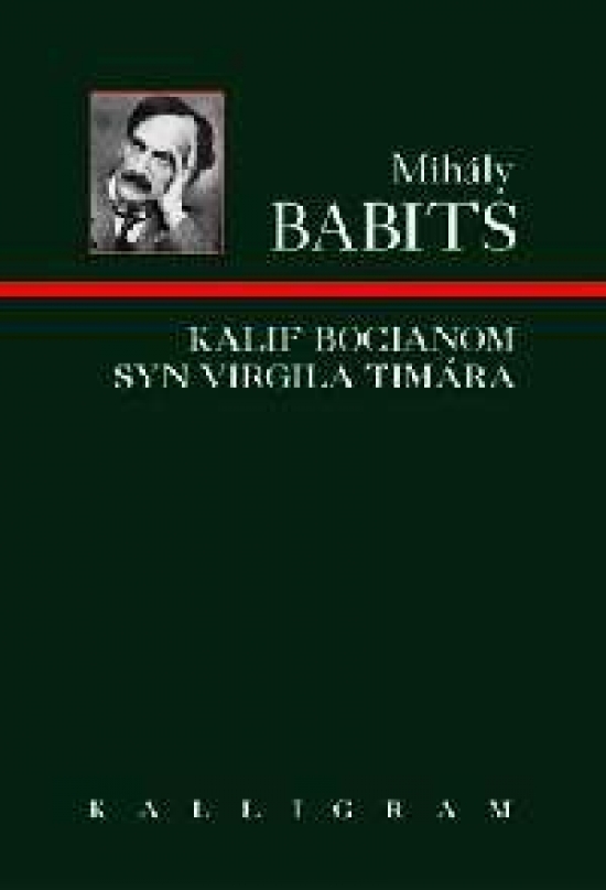 Obrázok Kalif bocianom / Syn Virgilia Timára