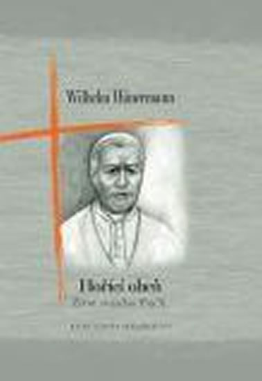 Obrázok Hořící oheň - Život svatého Pia X.