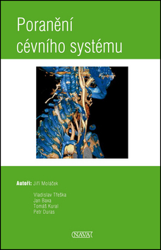 Obrázok Poranění cévního systému