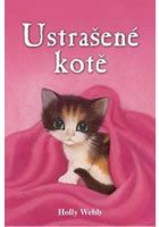 Obrázok Ustrašené kotě