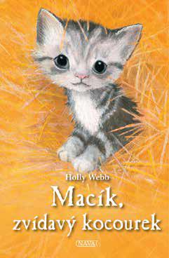 Obrázok Macík, zvídavý kocourek