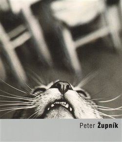 Obrazok Peter Župník
