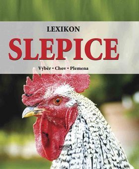 Obrázok Lexikon - Slepice