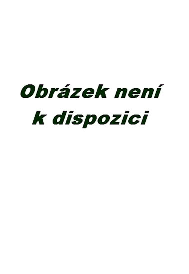 Obrázok Matematika pro 4. ročník základní školy - Metodická příručka