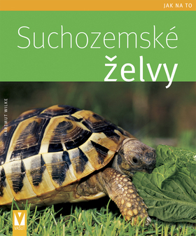 Obrázok Suchozemské želvy - jak na to