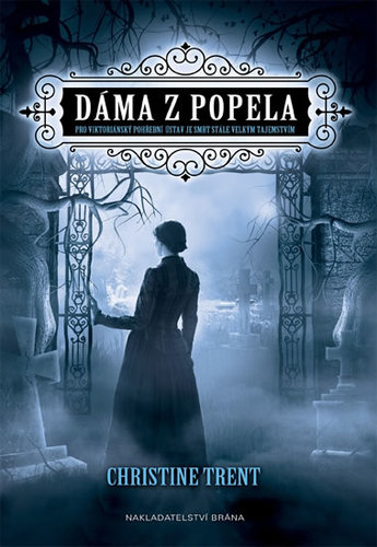 Obrázok Dáma z popela