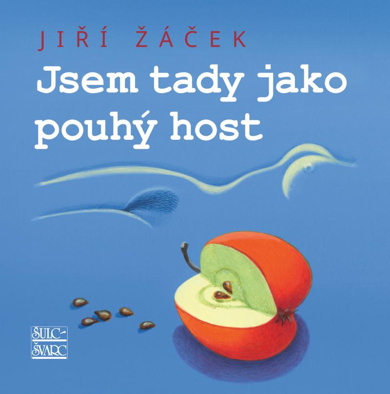 Obrázok Jsem tady jako pouhý host