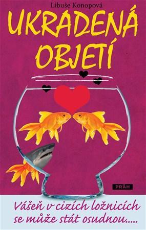 Obrázok Ukradená objetí