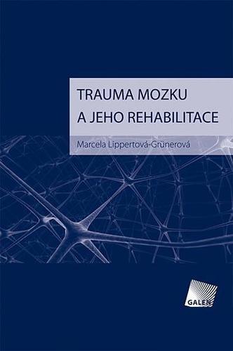 Obrázok Trauma mozku a jeho rehabilitace