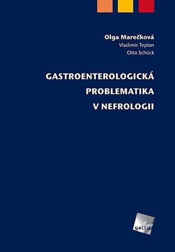 Obrázok Gastroenterologická problematika v nefro