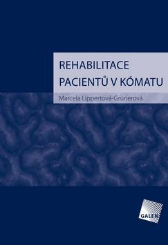 Obrázok Rehabilitace pacientů v kómatu