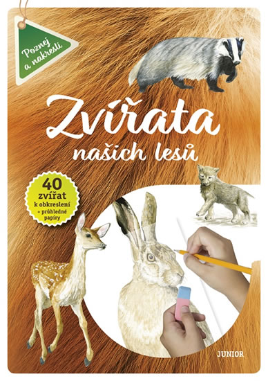 Obrázok Zvířata našich lesů - Vědomosti i zábava