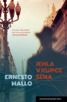 Obrázok Jehla v kupce sena