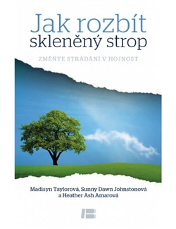 Obrazok Jak rozbít skleněný strop - Změňte strádání v hojnost