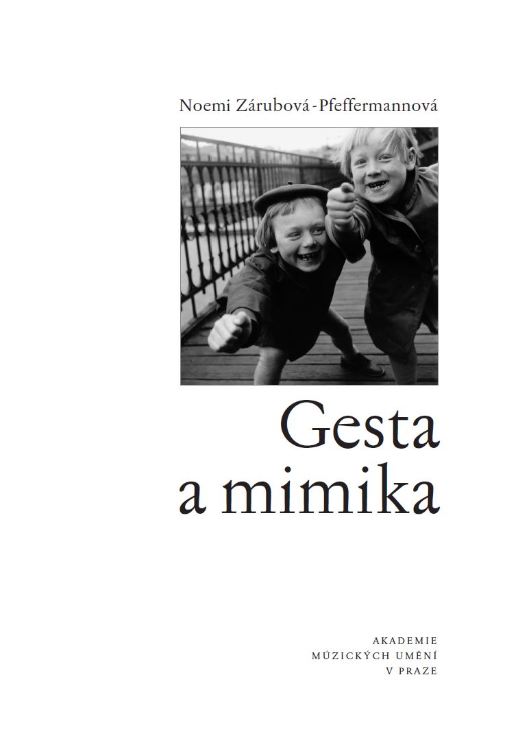 Obrazok Gesta a mimika