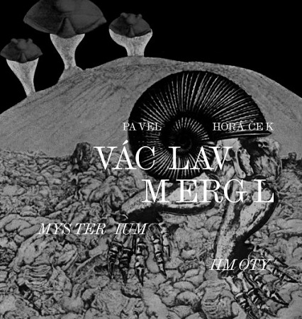 Obrazok Václav Mergl – Mysterium hmoty