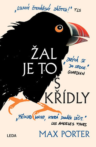 Obrázok Žal je to s křídly