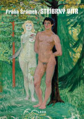 Obrázok Stříbrný vítr