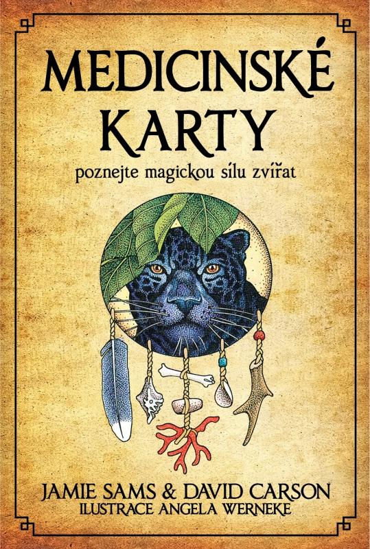 Obrázok Medicinské karty - Poznejte magickou síl