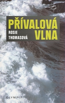 Obrázok Přívalová vlna