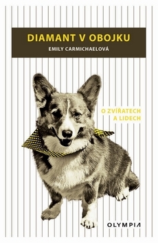 Obrázok Diamant v obojku