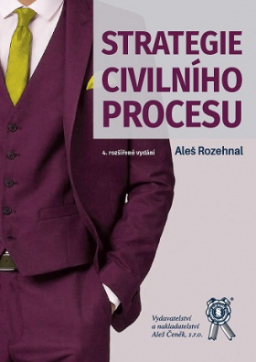 Obrazok Strategie civilního procesu - 4. vydání