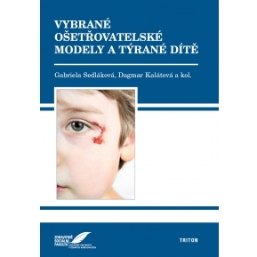 Obrázok Vybrané ošetřovatelské modely a týrané dítě