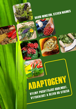 Obrázok Adaptogeny - byliny poskytující odolnost, vytrvalost a úlevu od stresu