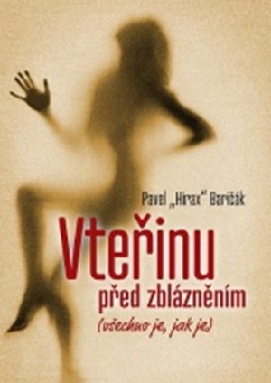 Obrázok Vteřinu před zblázněním