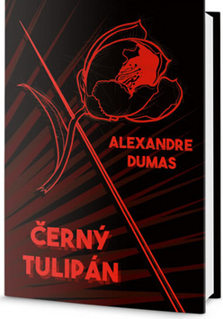 Obrázok Černý tulipán
