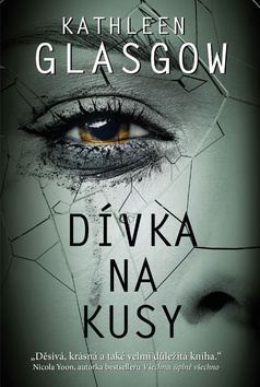 Obrázok Dívka na kusy