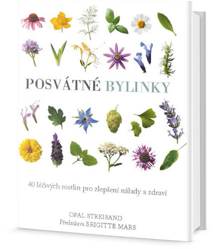 Obrázok Posvátné bylinky - 40 léčivých rostlin pro zlepšení nálady a zdraví