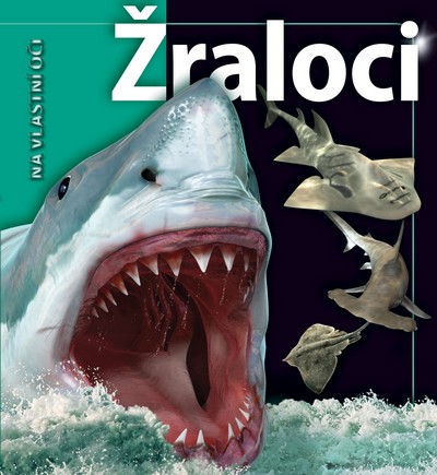 Obrázok Žraloci - Na vlastní oči