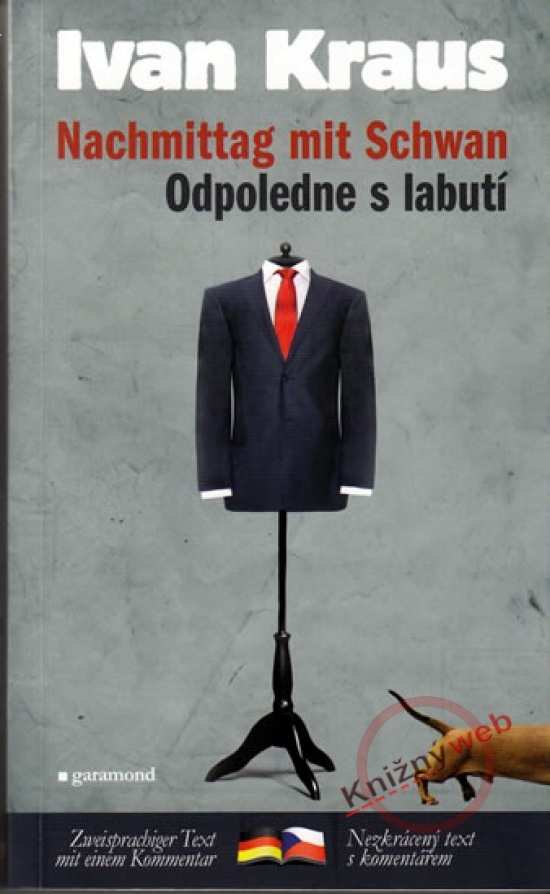 Obrázok Odpoledne s labutí / Nachmittag mit Schwan
