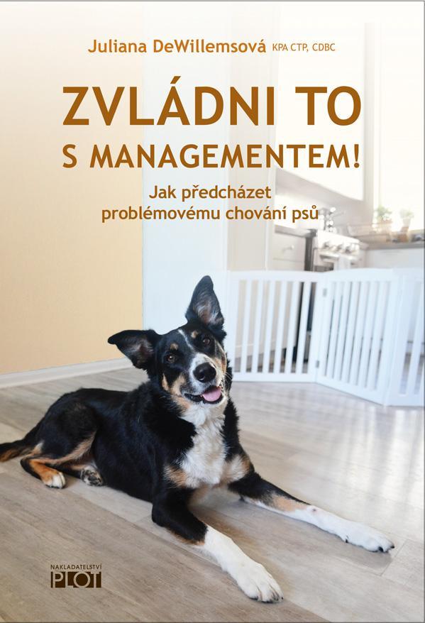 Obrázok Zvládni to s managementem!