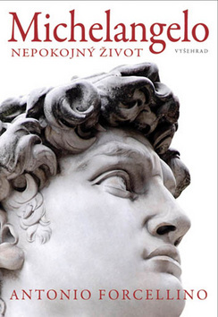 Obrázok Michelangelo