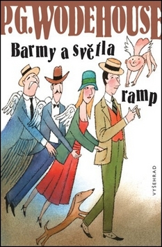 Obrázok Barmy a světla ramp