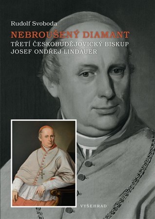 Obrázok Nebroušený diamant