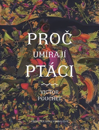 Obrázok Proč umírají ptáci