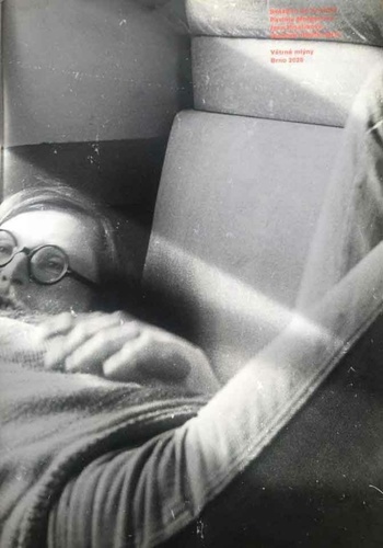 Obrázok Svázáno do kozelky