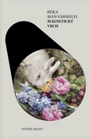 Obrázok Magnetický vrch