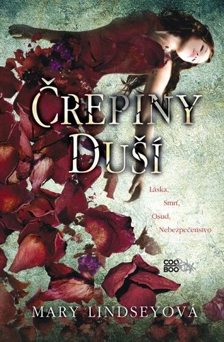 Obrázok Črepiny duší