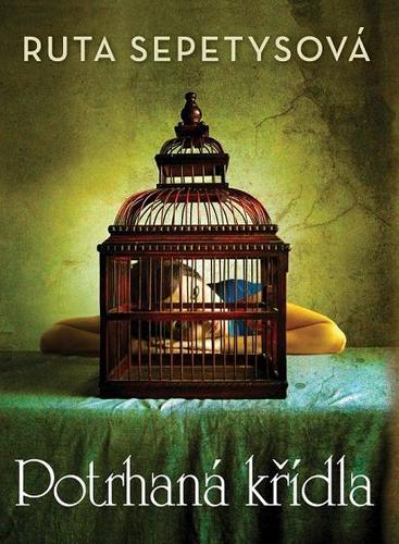 Obrázok Potrhaná křídla