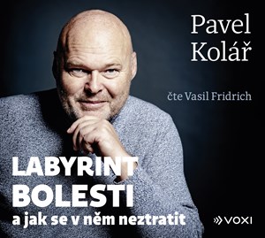 Obrázok Labyrint bolesti (audiokniha)