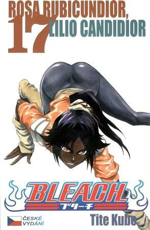 Obrázok Bleach 17