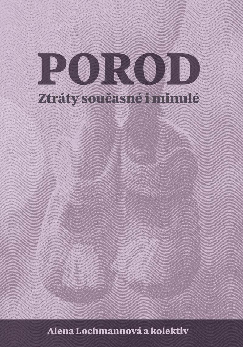 Obrázok Porod - Ztráty současné i minulé