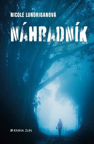 Obrázok Náhradník 